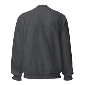 Back view of unisex dark heather crew neck sweatshirt with long sleeves