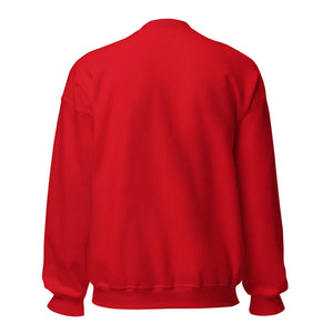 Unisex red crew neck sweatshirt back view, long sleeves, plain casual apparel