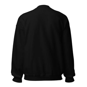 Unisex crew neck sweatshirt in solid black, back view on white background