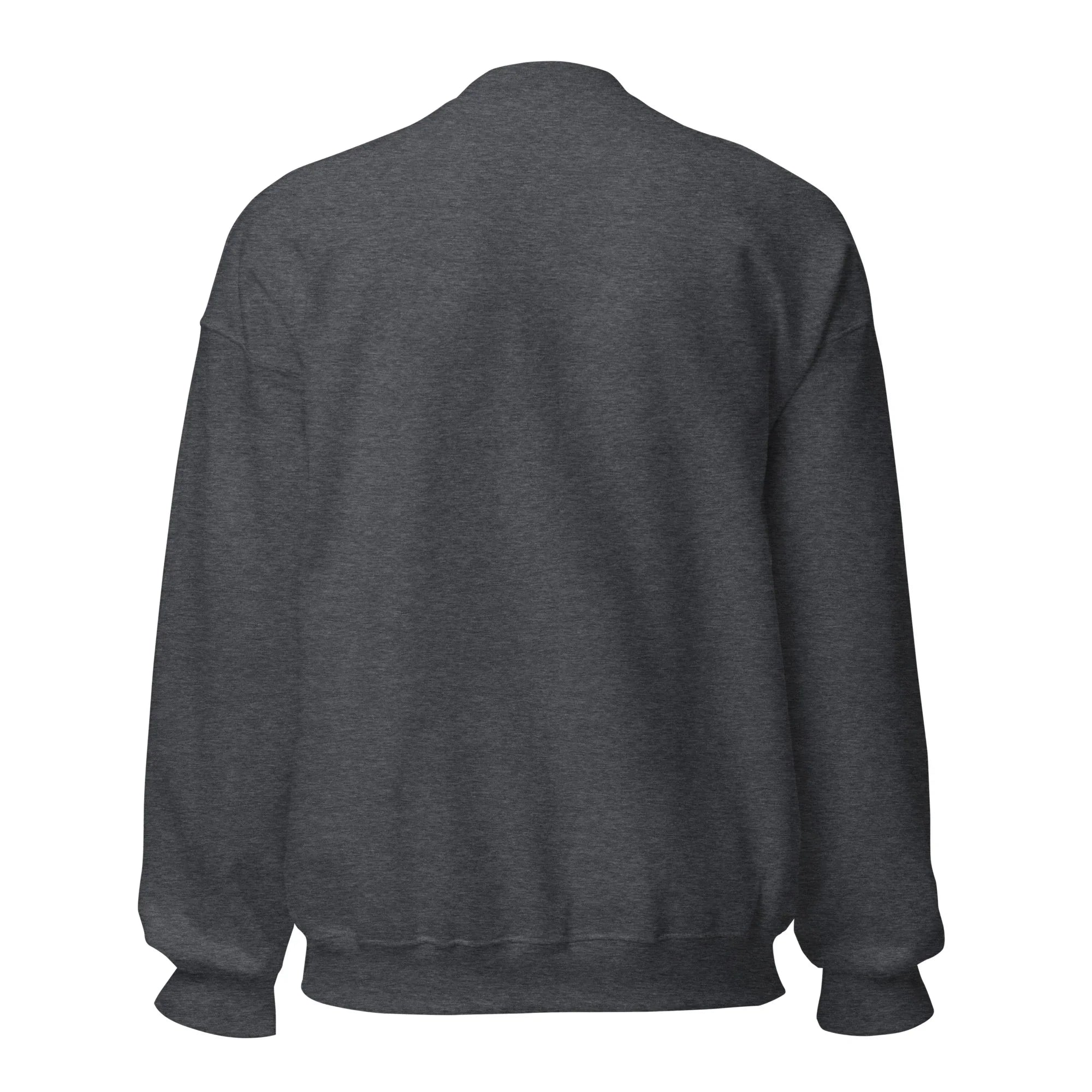 Back view of unisex dark heather crew neck sweatshirt with long sleeves